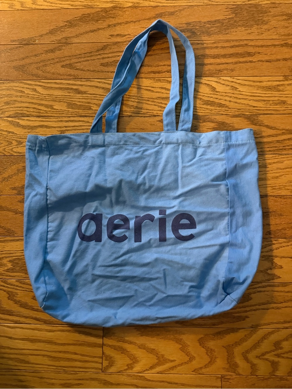 Aerie Blue Canvas Logo Tote